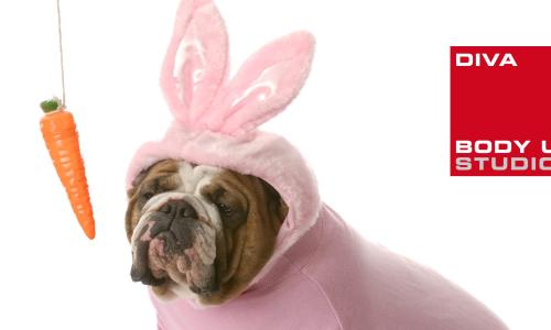 Osterhund